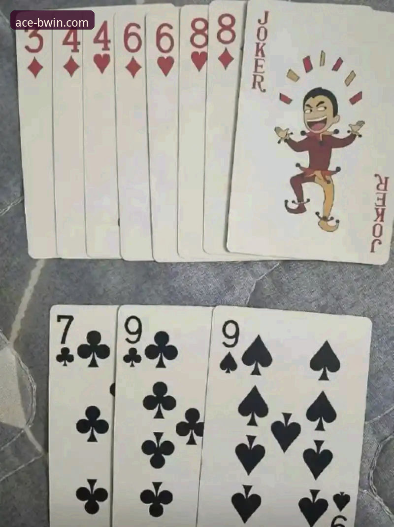 BWIN必赢官网下载 vs 手机版APP：哪个入口更适合新手登录？